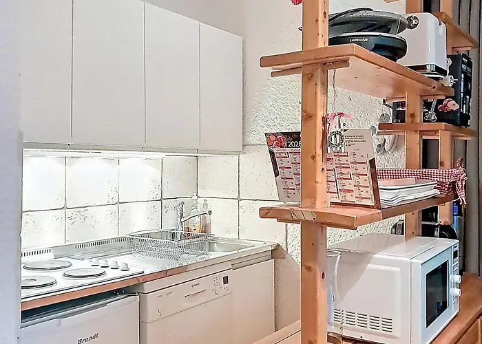 Bien Equipe Au Pied Des Pistes, Centre Station - Fr-1-811-46 *